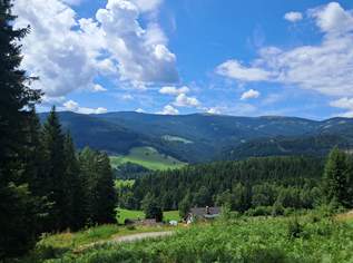 "Aufi auf die Olm": Grund mit Wald auf der Hebalm (Provisionsfrei), 143900 €, Immobilien-Grund und Boden in 8530 Blumau "Aufi auf die Olm": Grund mit Wald auf der Hebalm (Provisionsfrei), 143900 €, Immobilien-Grund und Boden in 8530 Blumau