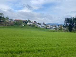 Baugrundstücke Freistadt, 110925 €, Immobilien-Grund und Boden in 4240 Freistadt Baugrundstücke Freistadt, 110925 €, Immobilien-Grund und Boden in 4240 Freistadt