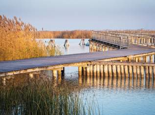 "The Lagoon" - Modern - Nachhaltig - Elegant PROVISIONSFREI, 550000 €, Immobilien-Häuser in 7071 Rust "The Lagoon" - Modern - Nachhaltig - Elegant PROVISIONSFREI, 550000 €, Immobilien-Häuser in 7071 Rust