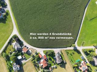 Top Grundstücke in Breitenried, 52000 €, Immobilien-Grund und Boden in 4753 Taiskirchen im Innkreis