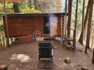 Baugrundstück mit bestehendem Keller in idyllischer Lage in Pinggau, 55000 €, Immobilien-Grund und Boden in 8243 Pinggau