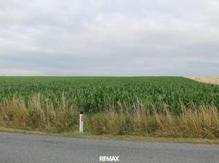 "Landwirte aufgepasst!", 23610 €, Immobilien-Gewerbeobjekte in 2011 Gemeinde Sierndorf "Landwirte aufgepasst!", 23610 €, Immobilien-Gewerbeobjekte in 2011 Gemeinde Sierndorf