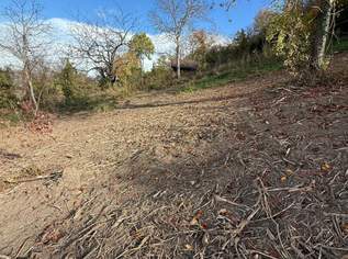 Bäume und Wiese mit Zufahrt und Parkmöglichkeit, 69000 €, Immobilien-Grund und Boden in 3433 Gemeinde Königstetten