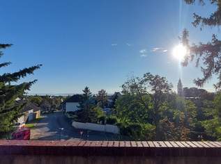 Beste Lage Neusiedl am See: 3 Terrassen, 10 Zimmer, 230m² Wohnfläche, Garten & Seeblick, 549000 €, Immobilien-Häuser in 7100 Gemeinde Neusiedl am See