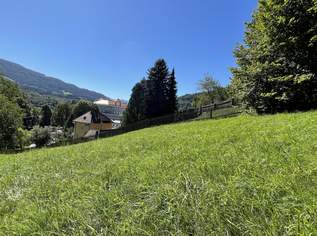 Ihr Logenplatz in der Künstlerstadt Gmünd: Sonniges Baugrundstück in süd-östlicher Ausrichtung, 82240 €, Immobilien-Grund und Boden in 9853 Gmünd in Kärnten