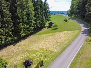 Großzügiger Baugrund in naturnaher Umgebung im Mühlviertel, 68407 €, Immobilien-Grund und Boden in 4175 Herzogsdorf Großzügiger Baugrund in naturnaher Umgebung im Mühlviertel, 68407 €, Immobilien-Grund und Boden in 4175 Herzogsdorf