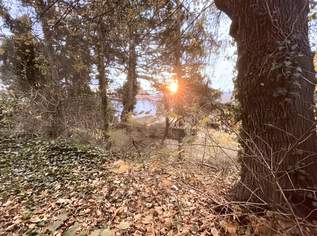 RARITÄT IN DER NÄHE VON SCHÖNBRUNN: Baugrundstück mit Altbestand & Fernblick, 1520000 €, Immobilien-Grund und Boden in 1130 Hietzing