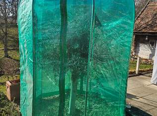 Frostschutzzelt für große Pflanzen