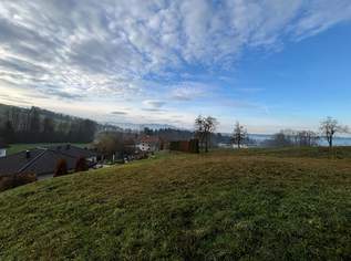 Baugrund in Nußbach im Ortsteil Göritz, 137000 €, Immobilien-Grund und Boden in 4542 Nußbach