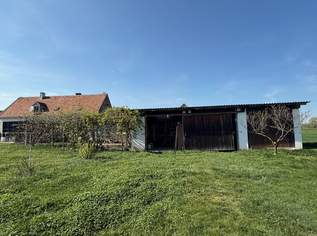 1.205 m² Bauland mit sanierungsbedürftigem Wohnhaus, Scheune, PV-Anlage, 75000 €, Immobilien-Häuser in 7474 Deutsch Schützen