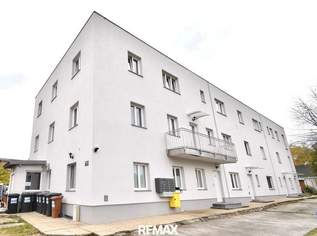 Gepflegtes Mini-Apartment mit Badezimmer in zentraler Lage - Zimmer 21! Nähe BMW, SKF!!!, 36652 €, Immobilien-Wohnungen in 4400 Steyr