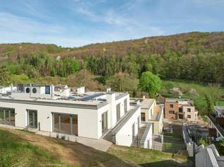 Idyllisches Wohnen im Wienerwald: Moderne Eigentumswohnungen in Kaltenleutgeben, 483000 €, Immobilien-Wohnungen in 2391 Gemeinde Kaltenleutgeben
