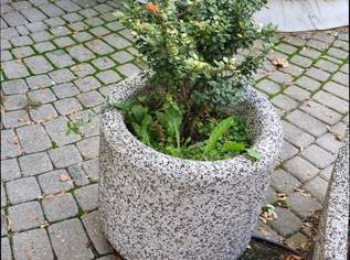 Steintrog/Pflanztrog granit rund , 50 €, Haus, Bau, Garten-Balkon & Garten in 7210 Mattersburg