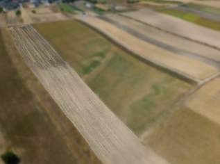 Landwirtschaftliches Grundstück in der KG Auersthal - 4169m2, 29183 €, Immobilien-Gewerbeobjekte in 2214 Auersthal Landwirtschaftliches Grundstück in der KG Auersthal - 4169m2, 29183 €, Immobilien-Gewerbeobjekte in 2214 Auersthal