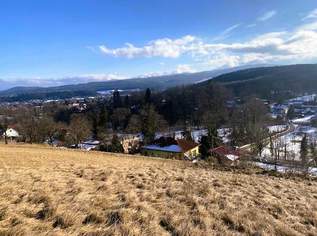 Für Naturliebhaber und Sonnenanbeter!, 87000 €, Immobilien-Grund und Boden in 2630 Pottschach