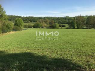 Verwirklichen Sie Ihr Traumhaus im schönen Kreuttal, 285000 €, Immobilien-Grund und Boden in 2123 Unterolberndorf Verwirklichen Sie Ihr Traumhaus im schönen Kreuttal, 285000 €, Immobilien-Grund und Boden in 2123 Unterolberndorf