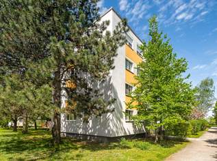 Familien-Hit: 4-Zimmer Wohnung mit 2 Loggien in Ruhelage, 309000 €, Immobilien-Wohnungen in 2344 Gemeinde Maria Enzersdorf
