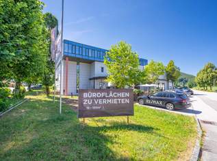 Raum für Unternehmen – Moderne Gewerbefläche in Hof bei Salzburg, 1615.68 €, Immobilien-Gewerbeobjekte in 5322 Hof bei Salzburg
