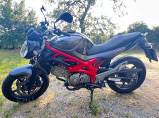 SFV 650/A Gladius SFV 650/A Gladius