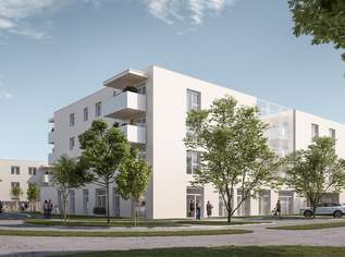 191,49 m² Büro-/Ordinations- u. Geschäftsflächen auf einer Ebene mit flexiblen Ausbaumöglichkeiten direkt an der Salzburger Straße, 2297.88 €, Immobilien-Gewerbeobjekte in 4060 Leonding