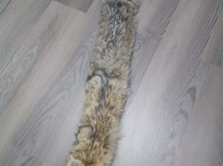 Wolfs-Stola, 100 €, Kleidung & Schmuck-Damenkleidung in 1110 Simmering Wolfs-Stola, 100 €, Kleidung & Schmuck-Damenkleidung in 1110 Simmering