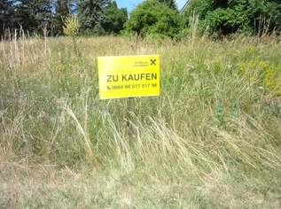 Baugrund in absoluter Ruhelage! ohne Bauzwang, 295000 €, Immobilien-Grund und Boden in 7083 Purbach am Neusiedler See