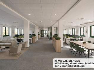 447 m² Open-Space-Büro mit Lastenlift und Tiefgarage im 22. Bezirk, 7324.32 €, Immobilien-Gewerbeobjekte in 1220 Donaustadt 447 m² Open-Space-Büro mit Lastenlift und Tiefgarage im 22. Bezirk, 7324.32 €, Immobilien-Gewerbeobjekte in 1220 Donaustadt