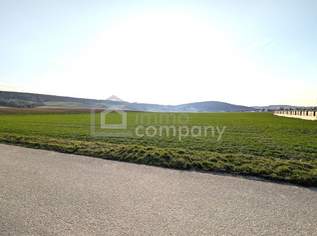 Sonniger sehr ruhiger Baugrund über der Hochwassergrenze, 187900 €, Immobilien-Grund und Boden in 3441 Gollarn Sonniger sehr ruhiger Baugrund über der Hochwassergrenze, 187900 €, Immobilien-Grund und Boden in 3441 Gollarn