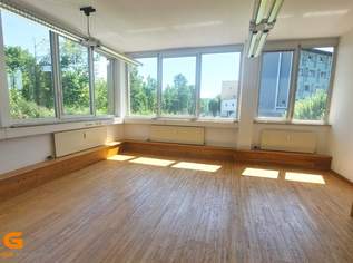 Büro oder Ordination in ruhiger Salzachlage in Salzburg Stadt mieten, 2989.94 €, Immobilien-Gewerbeobjekte in 5020 Salzburg