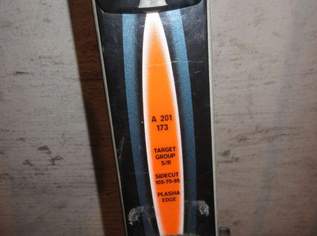 Fischer Ski mit Stöcker