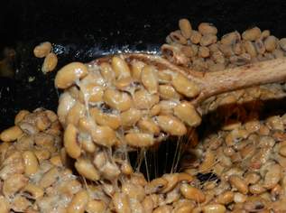 Natto – fermentierte Sojabohnen, 29 €, Marktplatz-Genuss & Kulinarik in Slowenien Natto – fermentierte Sojabohnen, 29 €, Marktplatz-Genuss & Kulinarik in Slowenien