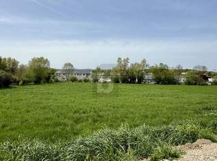 FÜR OUTDOOR-ENTHUSIASTEN AUSSERHALB DES SIEDLUNGSBEREICHES, 74800 €, Immobilien-Grund und Boden in 7032 Gemeinde Sigleß FÜR OUTDOOR-ENTHUSIASTEN AUSSERHALB DES SIEDLUNGSBEREICHES, 74800 €, Immobilien-Grund und Boden in 7032 Gemeinde Sigleß