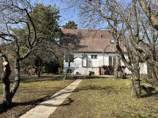 Haus in TRAUMLAGE (saniert 2009) mit wunderschönem Garten und Blick auf die Burg Liechtenstein!, 1299000 €, Immobilien-Häuser in 2344 Gemeinde Maria Enzersdorf