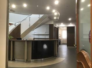 Arbeiten und wohnen wo andere Urlaub machen, Praxis/Büro+Wohnung in Zentrum von Neusiedl am See, 845000 €, Immobilien-Häuser in 7100 Gemeinde Neusiedl am See
