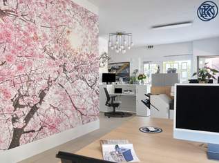 Nutzung möglich als: Blumenladen, Einzelhandel, Kaffeehaus, Kebap-Stand, Pizzeria oder Büro., 0 €, Immobilien-Gewerbeobjekte in 1220 Donaustadt Nutzung möglich als: Blumenladen, Einzelhandel, Kaffeehaus, Kebap-Stand, Pizzeria oder Büro., 0 €, Immobilien-Gewerbeobjekte in 1220 Donaustadt