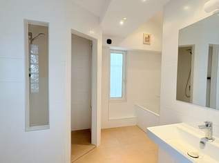 Über den Wolken nahe dem Servitenviertel/Clusiusgasse DG mit Terrasse ca. 11m², Saniert!, 719000 €, Immobilien-Wohnungen in 1090 Alsergrund