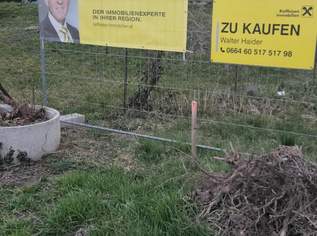 Erstbezug 4-Zimmer Eigentumswohnung, 294600 €, Immobilien-Wohnungen in 7082 Gemeinde Donnerskirchen