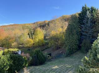 „Ein Stück Wienerwald – Raum für neue Lebensideen“ | ZELLMANN IMMOBILIEN, 750000 €, Immobilien-Grund und Boden in 2384 Breitenfurt „Ein Stück Wienerwald – Raum für neue Lebensideen“ | ZELLMANN IMMOBILIEN, 750000 €, Immobilien-Grund und Boden in 2384 Breitenfurt