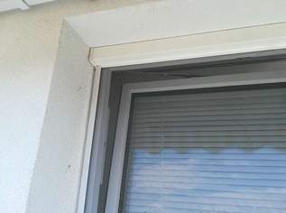 Insektenschutz - Fliegengitter, 10 €, Marktplatz-Sammlungen & Haushaltsauflösungen in 1150 Rudolfsheim-Fünfhaus