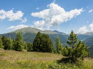 Baugrund mit Zweitwohnsitz - neuer Angebotspreis!, 395000 €, Immobilien-Grund und Boden in 8864 Turrach Baugrund mit Zweitwohnsitz - neuer Angebotspreis!, 395000 €, Immobilien-Grund und Boden in 8864 Turrach