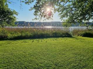 Badegrundstück am Ostufer des Obertrumer Sees mit Steg!, 349000 €, Immobilien-Grund und Boden in 5163 Mattsee