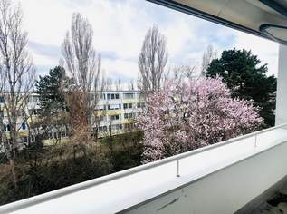 3 Zimmer Wohnung mit Loggia, 1345.82 €, Immobilien-Wohnungen in 2344 Gemeinde Maria Enzersdorf 3 Zimmer Wohnung mit Loggia, 1345.82 €, Immobilien-Wohnungen in 2344 Gemeinde Maria Enzersdorf