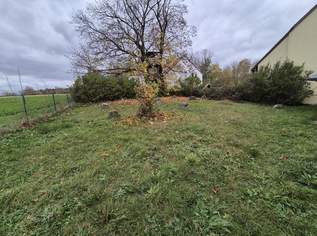 BAUGRUND - 388 m² - MIT 2 PRESSHÄUSERN - AUSBAUFÄHIG, 120000 €, Immobilien-Grund und Boden in 2013 Göllersdorf BAUGRUND - 388 m² - MIT 2 PRESSHÄUSERN - AUSBAUFÄHIG, 120000 €, Immobilien-Grund und Boden in 2013 Göllersdorf