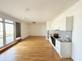 geräumige 2-Zimmer Dachgeschosswohnung mit großer Terrasse und en suite Badezimmer- ab sofort verfügbar, 1149 €, Immobilien-Wohnungen in 1220 Donaustadt