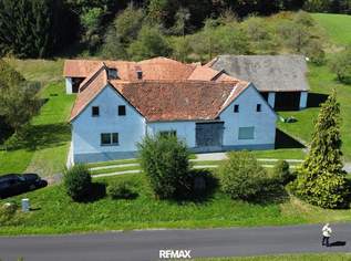 Bauernhaus - Es gibt ihn noch, den Charme vergangener Tage, 320000 €, Immobilien-Häuser in 8350 Fehring