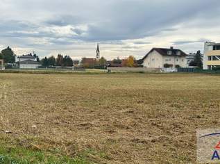 Herrlicher, großer Baugrund in Zentrumslage!, 0 €, Immobilien-Grund und Boden in 4614 Marchtrenk Herrlicher, großer Baugrund in Zentrumslage!, 0 €, Immobilien-Grund und Boden in 4614 Marchtrenk