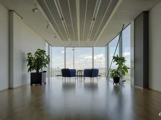 Hochwertige Flächen im Saturn Tower, 7542.5 €, Immobilien-Gewerbeobjekte in 1220 Donaustadt