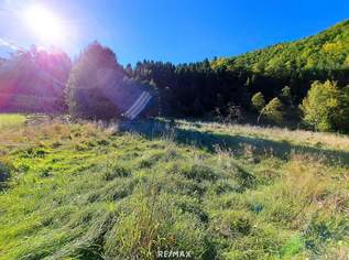 Großzügiges Baugrundstück in Reichraming, 149000 €, Immobilien-Grund und Boden in 4462 Reichraming