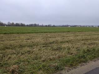 Verkaufe Acker / landwirtschaftliche Nutzfläche Verkaufe Acker / landwirtschaftliche Nutzfläche