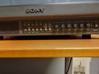 Retro Gaming Monitor von SONY